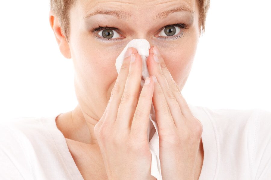 What to Clean if Preventing Illness is your Goal