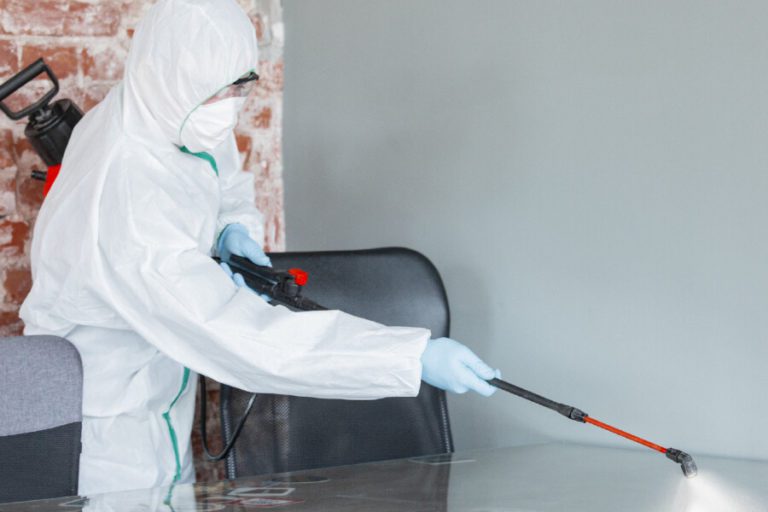 Is Fogging Disinfecting Safe?