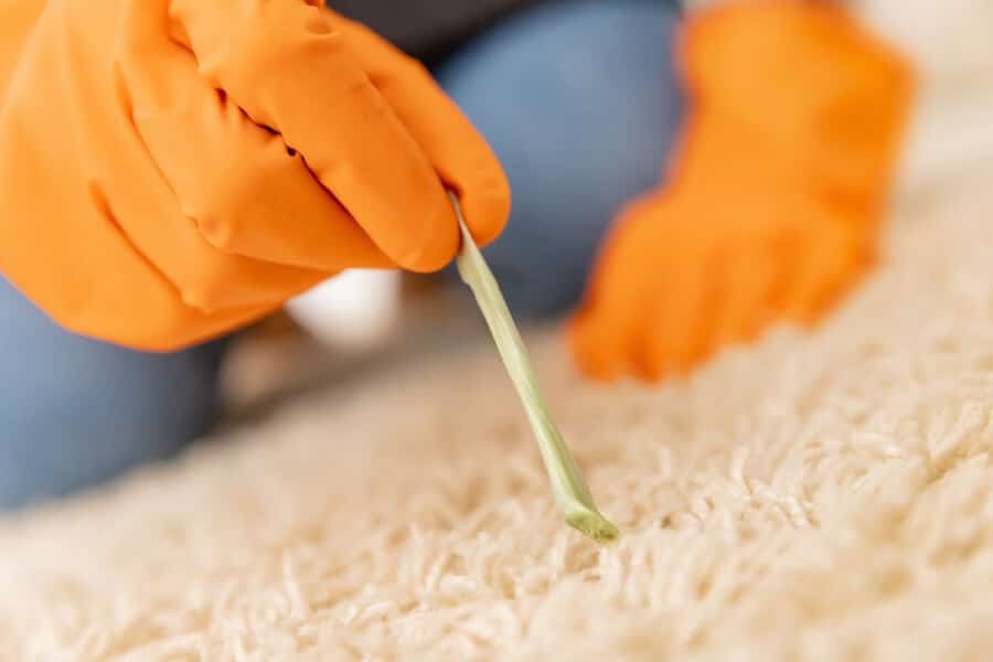 Remove Gum, Wax, and Other Sticky Substances from your Office Carpets