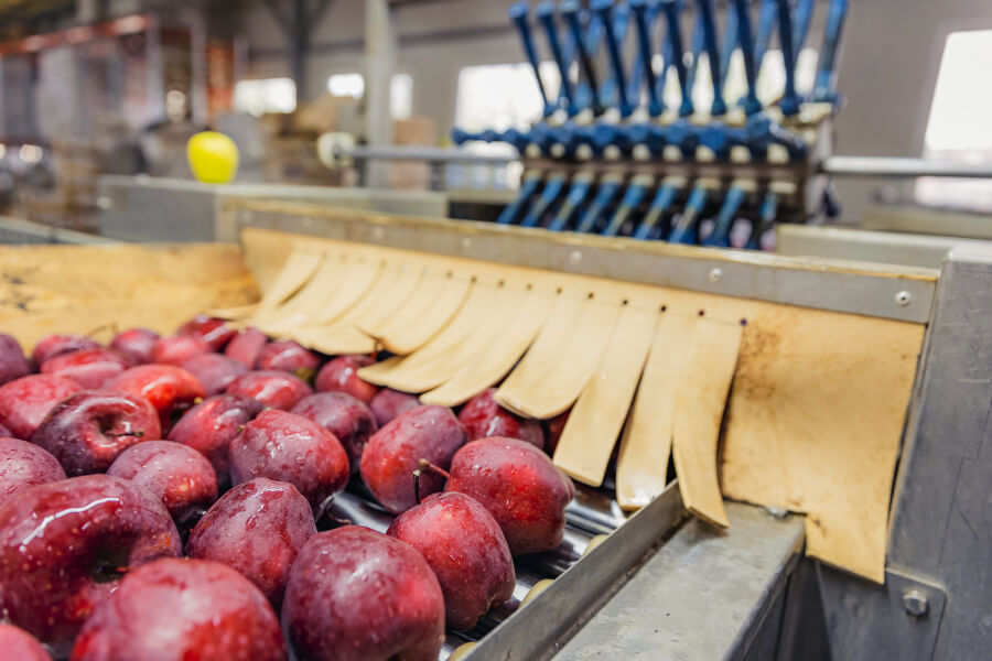 Importance of Cleaning and Sanitation in the Food Processing Industry